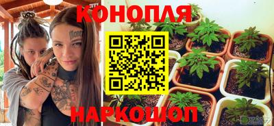 спиды Нарткала