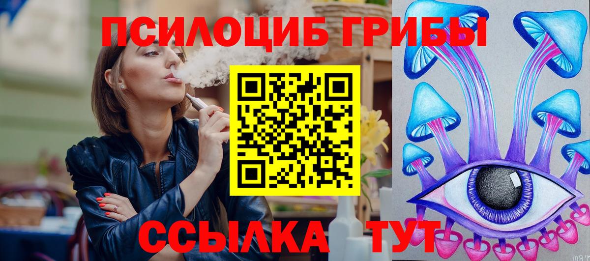 Псилоцибиновые грибы мицелий Торжок