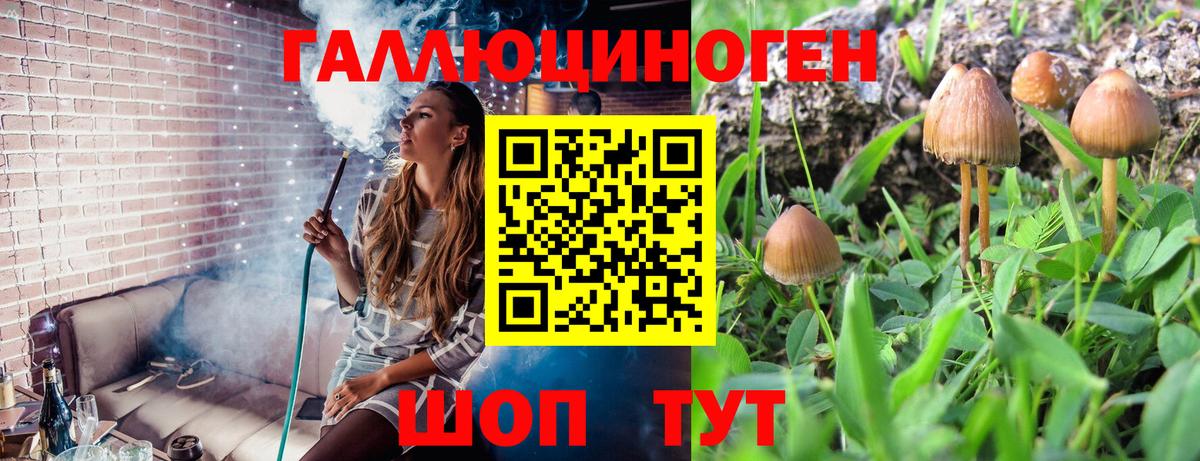 Псилоцибиновые грибы MAGIC MUSHROOMS  Псилоцибиновые грибы мицелий  Торжок  Вход с VPN 